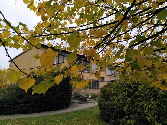 Musikschule im Herbst