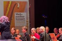 Kammerorchester Vicconcerto (Ausschnitt)