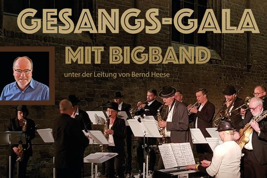 Die Mitwirkenden der Gala in Einzelbisdern sowie die Bigband der Musikschule