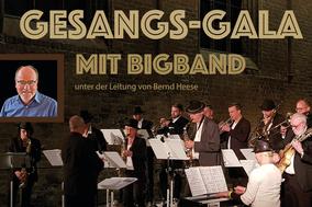 Die Mitwirkenden der Gala in Einzelbisdern sowie die Bigband der Musikschule