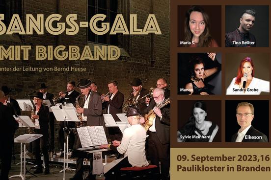Die Mitwirkenden der Gala in Einzelbisdern sowie die Bigband der Musikschule