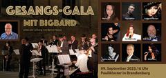 Die Mitwirkenden der Gala in Einzelbisdern sowie die Bigband der Musikschule