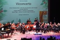 Das Kammerorchester Vicconcerto der Musikschule Vicco von Bülow